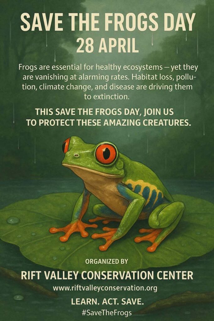 Save The Frogs Day 2025年国际两栖动物保护工作075