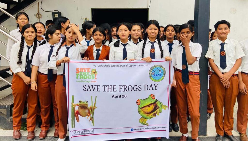 Save The Frogs Day 2025年国际两栖动物保护工作106