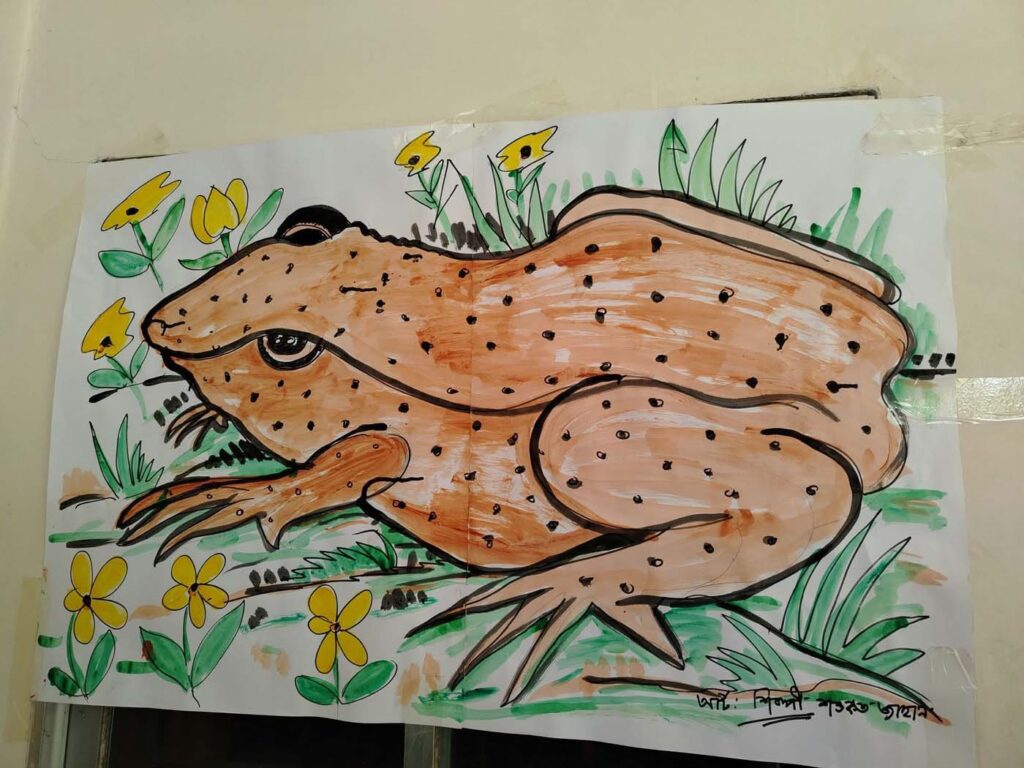 Save The Frogs Day 2025年国际两栖动物保护工作138