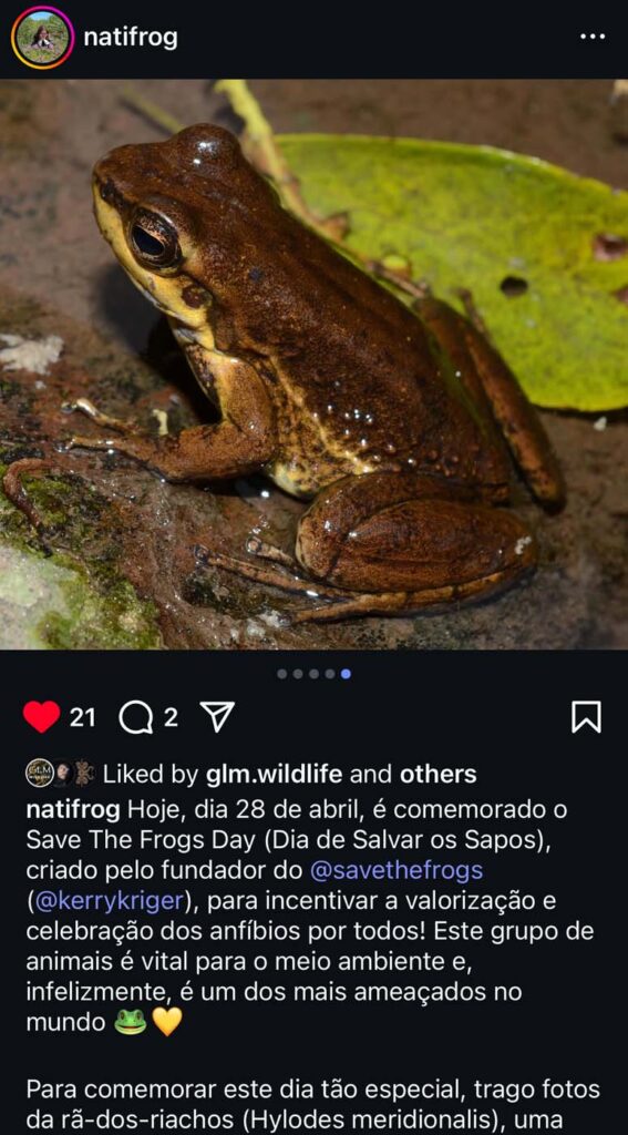 Save The Frogs Day 2025年国际两栖动物保护工作145