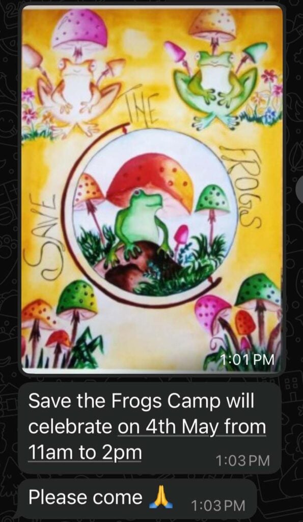 Save The Frogs Day 2025年国际两栖动物保护工作146