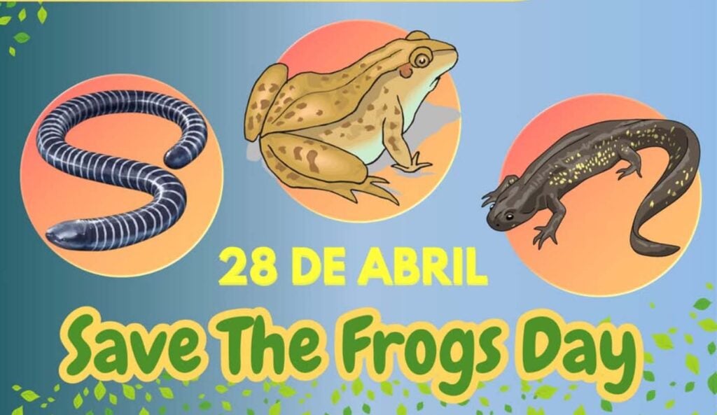 Save The Frogs Day 2025年国际两栖动物保护工作