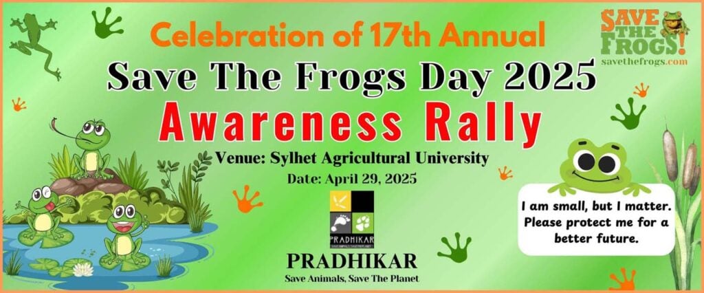 Save The Frogs Day 2025年国际两栖动物保护工作161