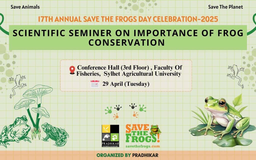 Save The Frogs Day 2025年国际两栖动物保护工作162