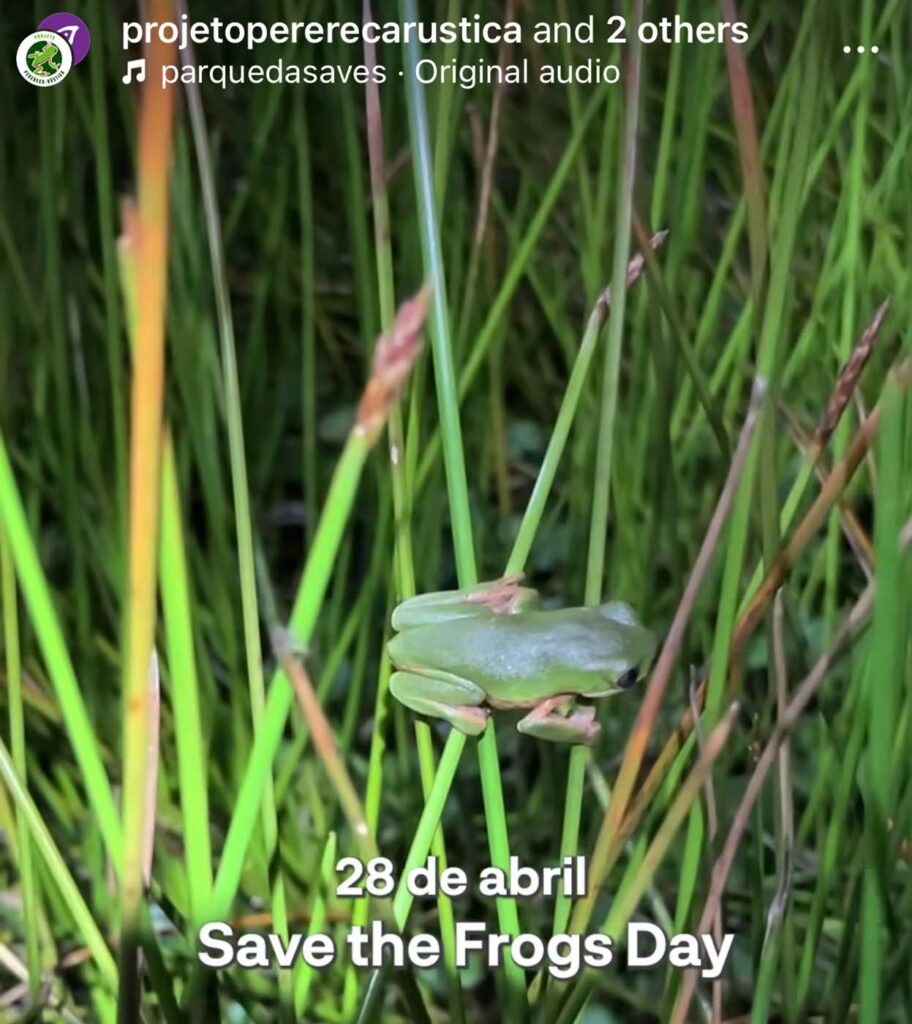 Save The Frogs Day 2025年国际两栖动物保护工作200
