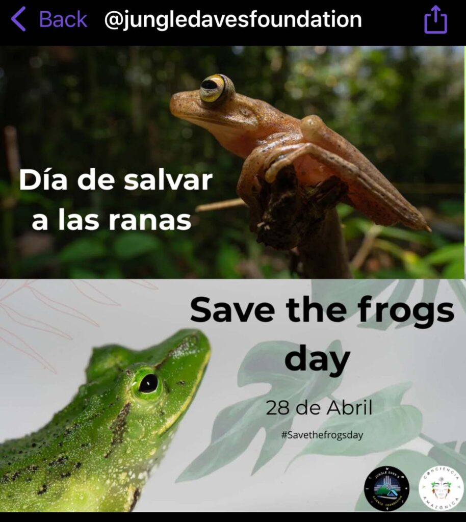 Save The Frogs Day 2025年国际两栖动物保护工作205