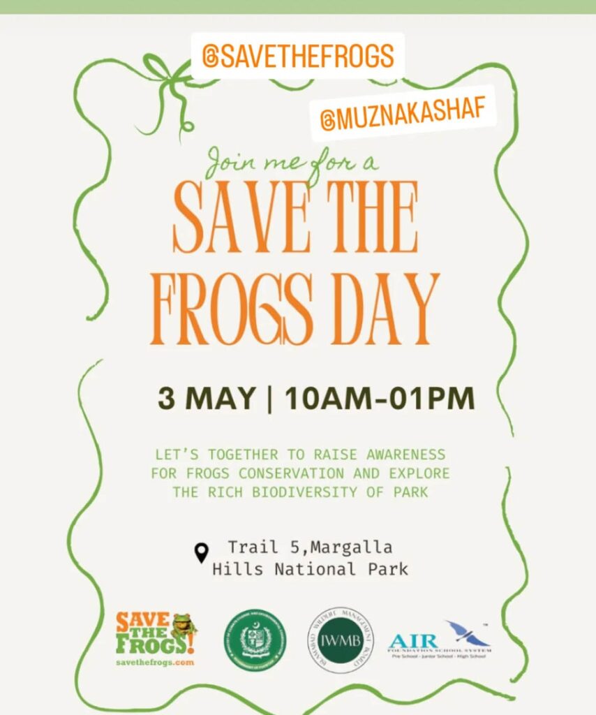 Save The Frogs Day 全球两栖动物002