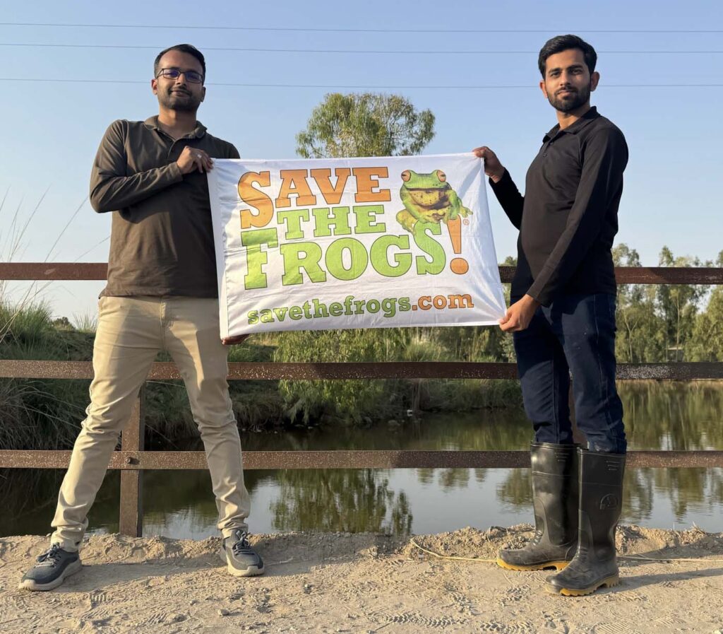 Save The Frogs Day 2025年全球两栖动物保护工作007