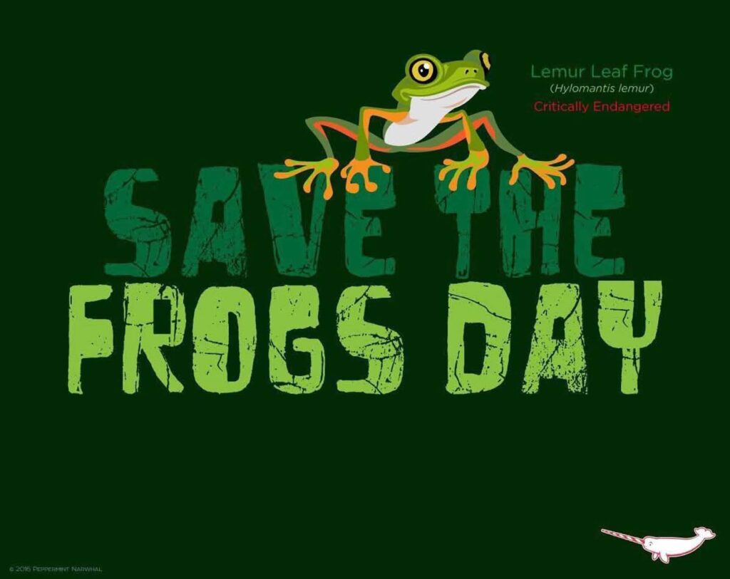 Save The Frogs Day 2025年全球两栖动物保护工作025