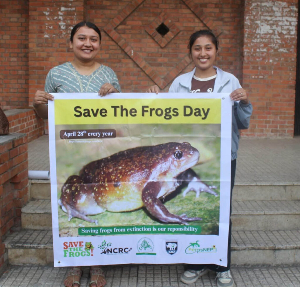 Save The Frogs Day 2025年全球两栖动物保护尼泊尔026