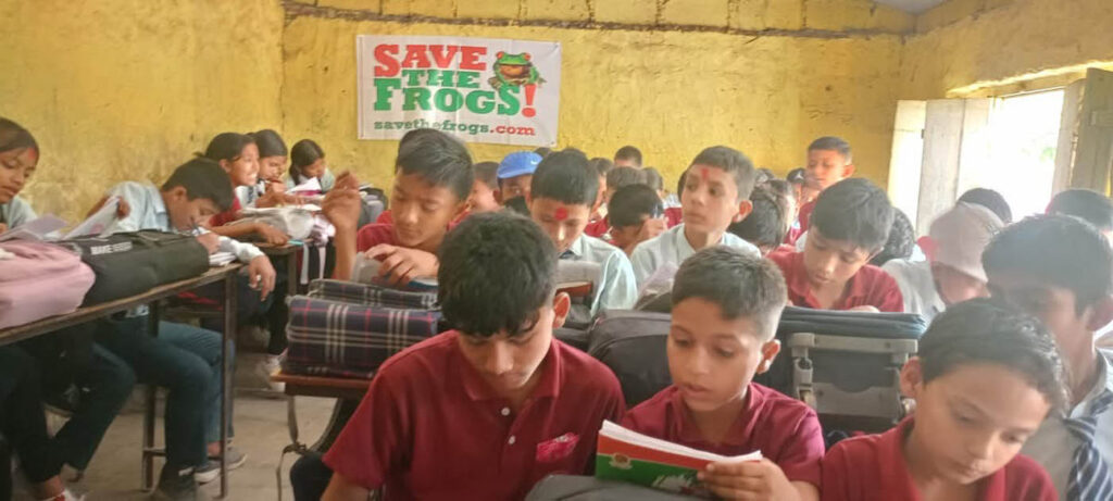 Save The Frogs Day 2025年全球两栖动物保护尼泊尔035