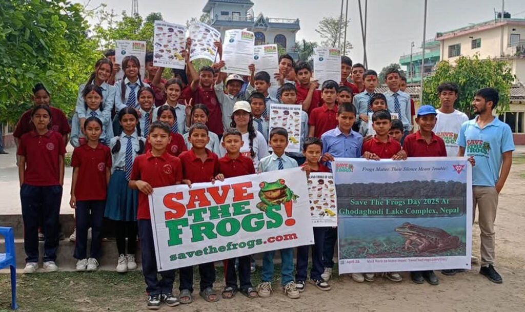 Save The Frogs Day 全球两栖动物尼泊尔