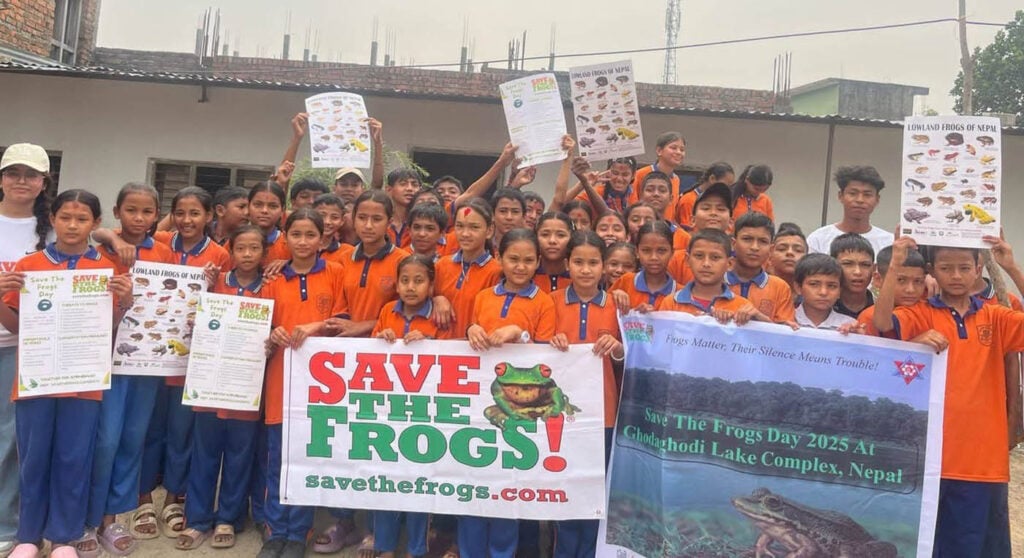 Save The Frogs Day 2025年全球两栖动物保护尼泊尔040