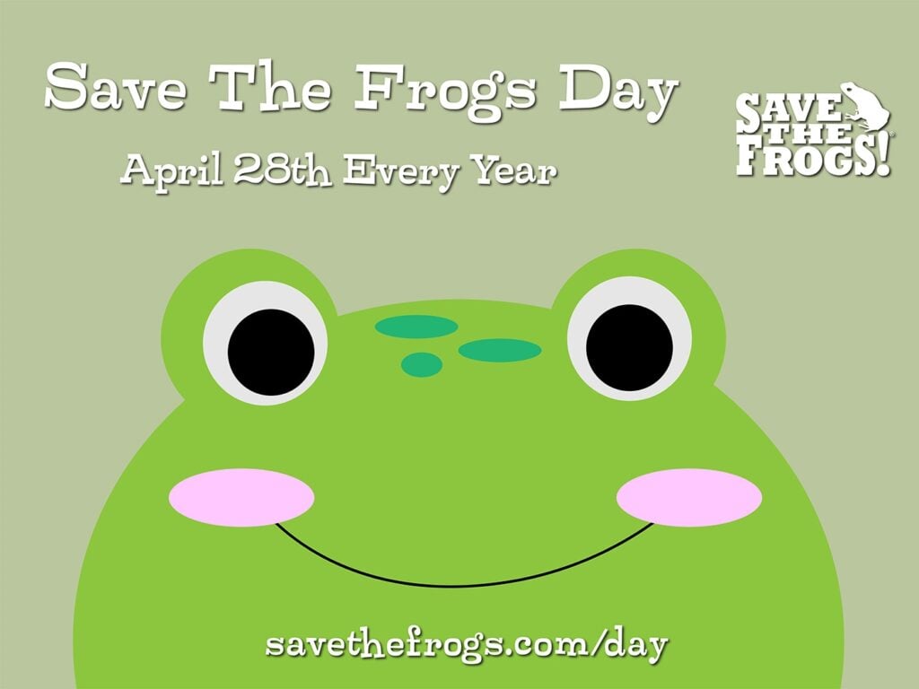 Save The Frogs Day 2026 Icon by Amy Liu Every Year 1400b