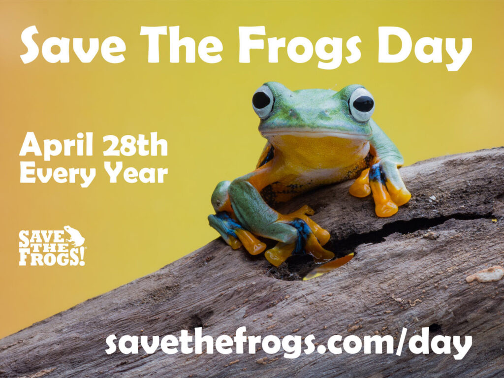 Save The Frogs Day jedes Jahr am 28. April