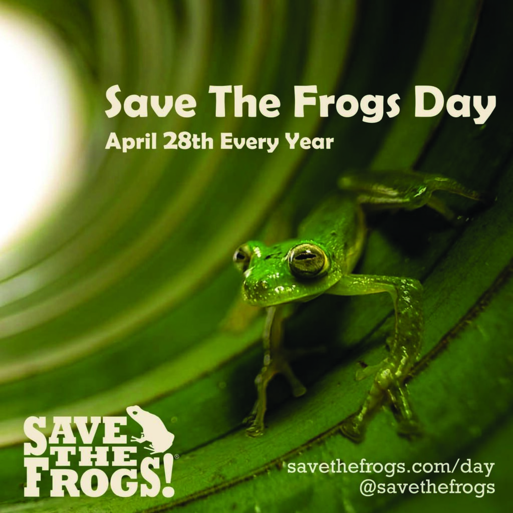 Save The Frogs Day - 28 เมษายนของทุกปี - ไอคอนโดย Eve Ruedisueli