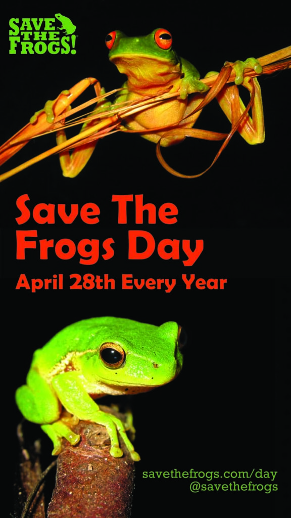 Save The Frogs Day - April 28th Every Year - Icon by Eve Ruedisueli