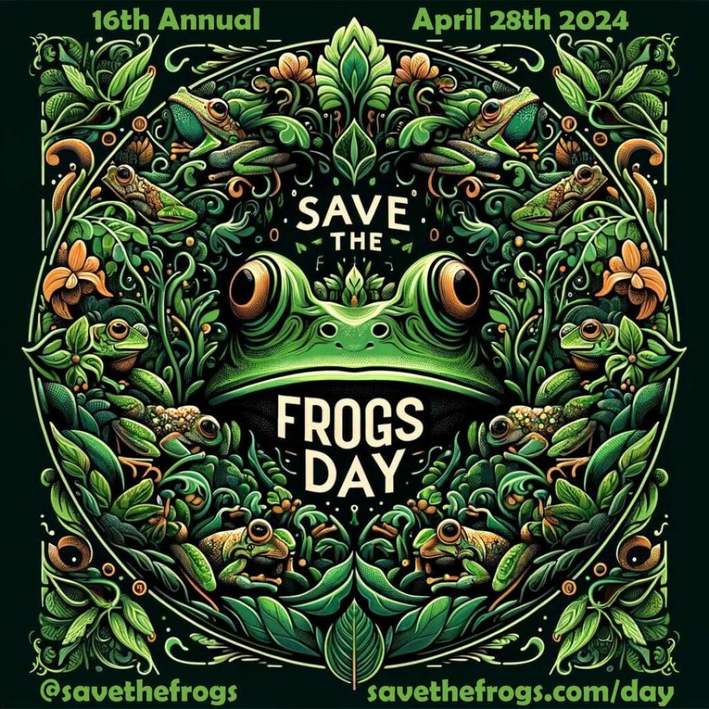 Save The Frogs Day 2024 г.