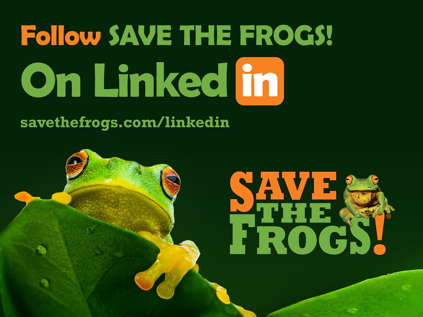 Save The Frogs LinkedIn