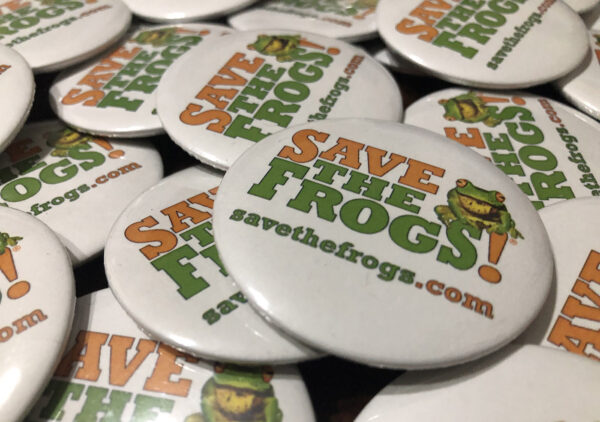 Save The Frogs Pins Buttons 6 1400 1