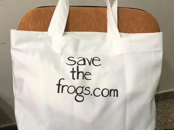 Save The Frogs Tote Bags Canvas Red Eyed Treefrogs 6 800 1