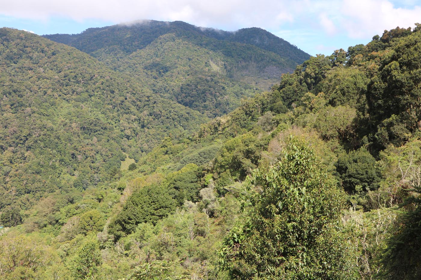 Savegre Cloudforest Costa Rica Ecotour 2021 1