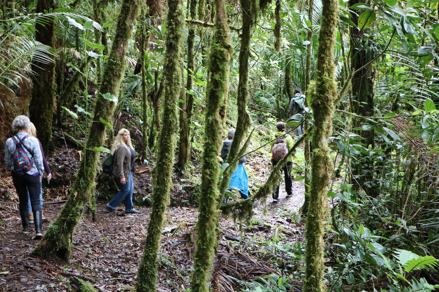 Savegre Cloudforest Costa Rica Ecotour 2021 11