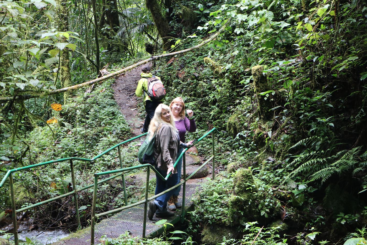 Savegre Cloudforest Costa Rica Ecotour 2021 18
