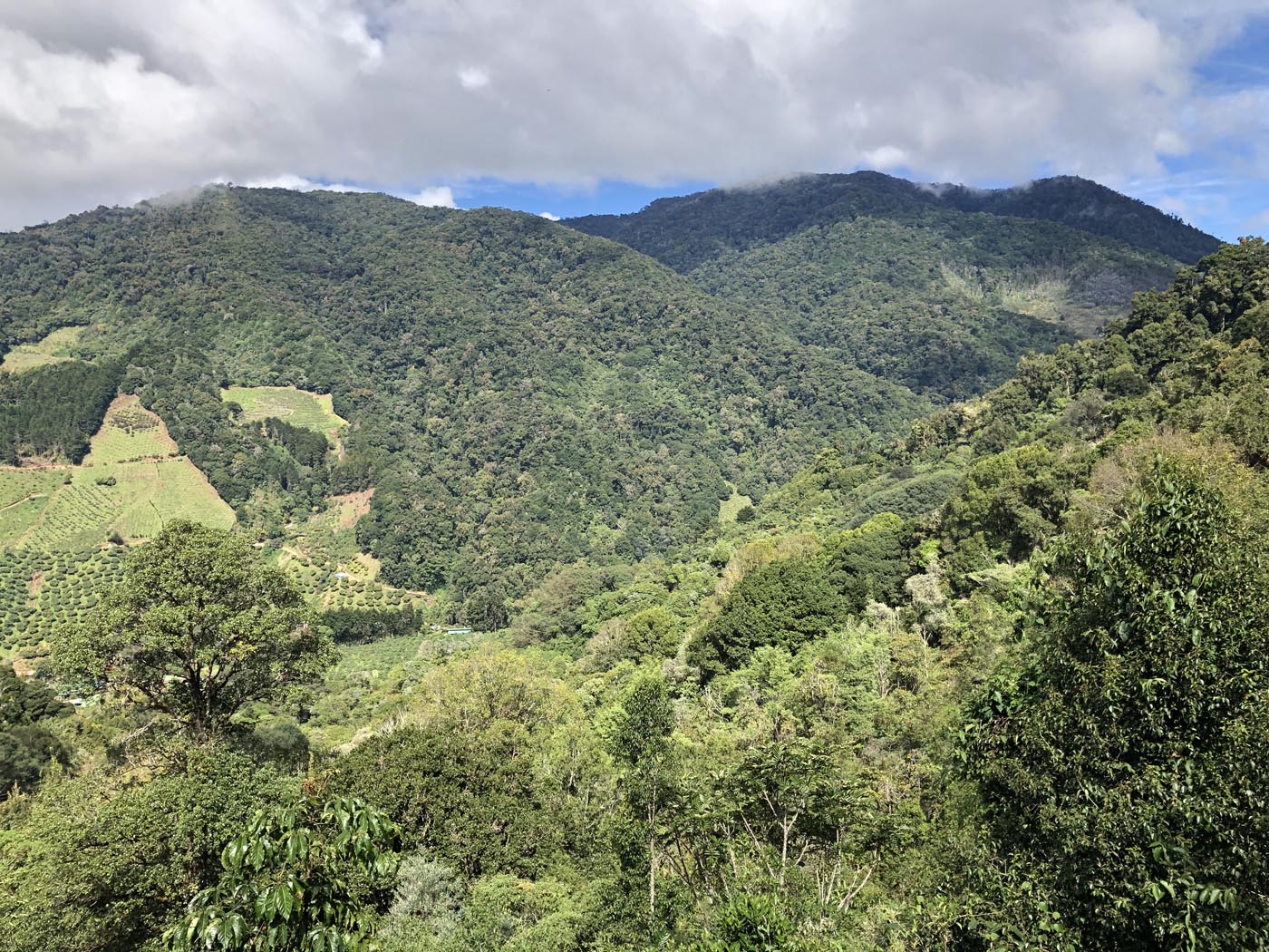 Savegre Cloudforest Costa Rica Ecotour 2021 37