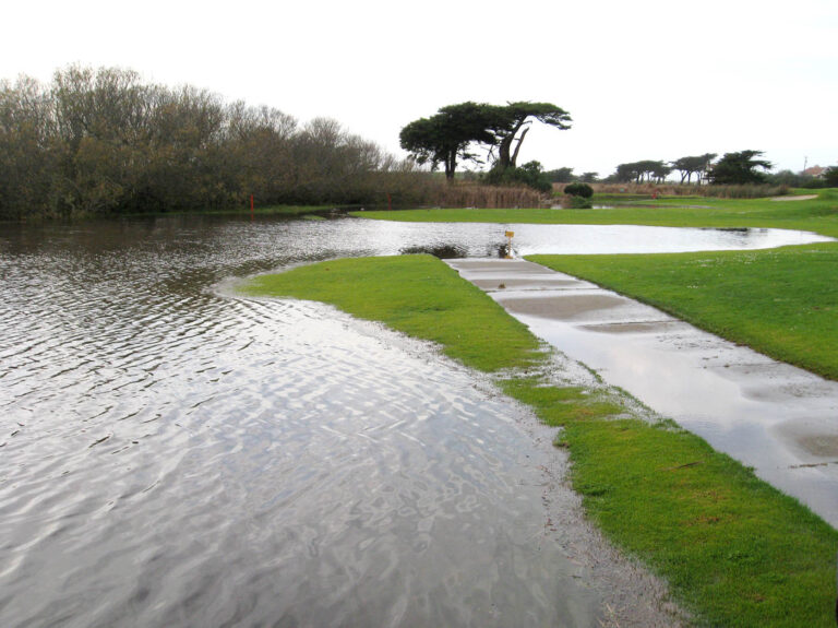 Sharp Park Wetlands California Golf лягушки