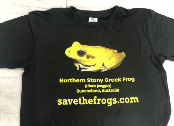 Shirt Yellow Frog Litoria jungguy 10 1