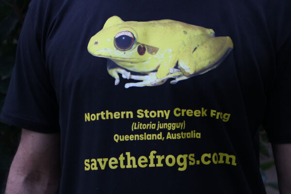 Shirt Yellow Frog Litoria jungguy 3 1
