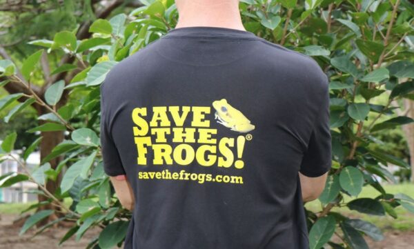 Shirt Yellow Frog Litoria jungguy 5 1
