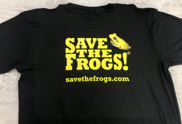 Shirt Yellow Frog Litoria jungguy 9 1