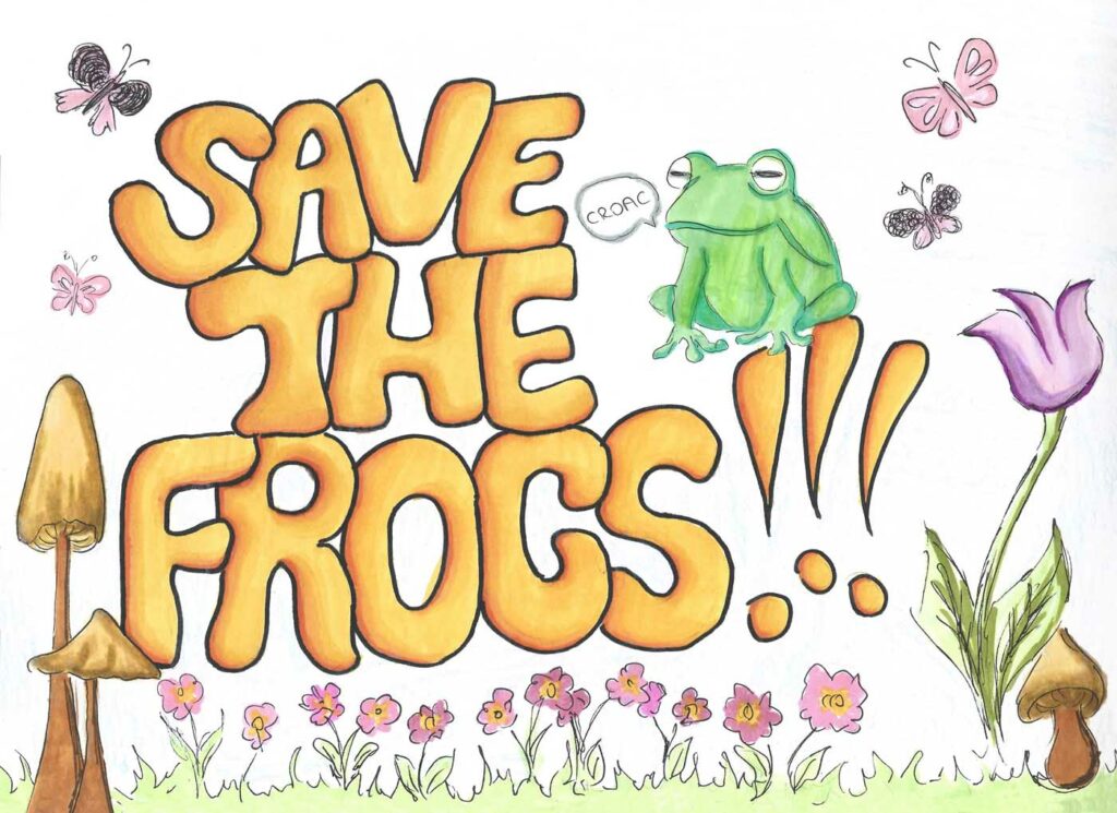 Sofia Chernukh Spain 2023 save the frogs art contest 1