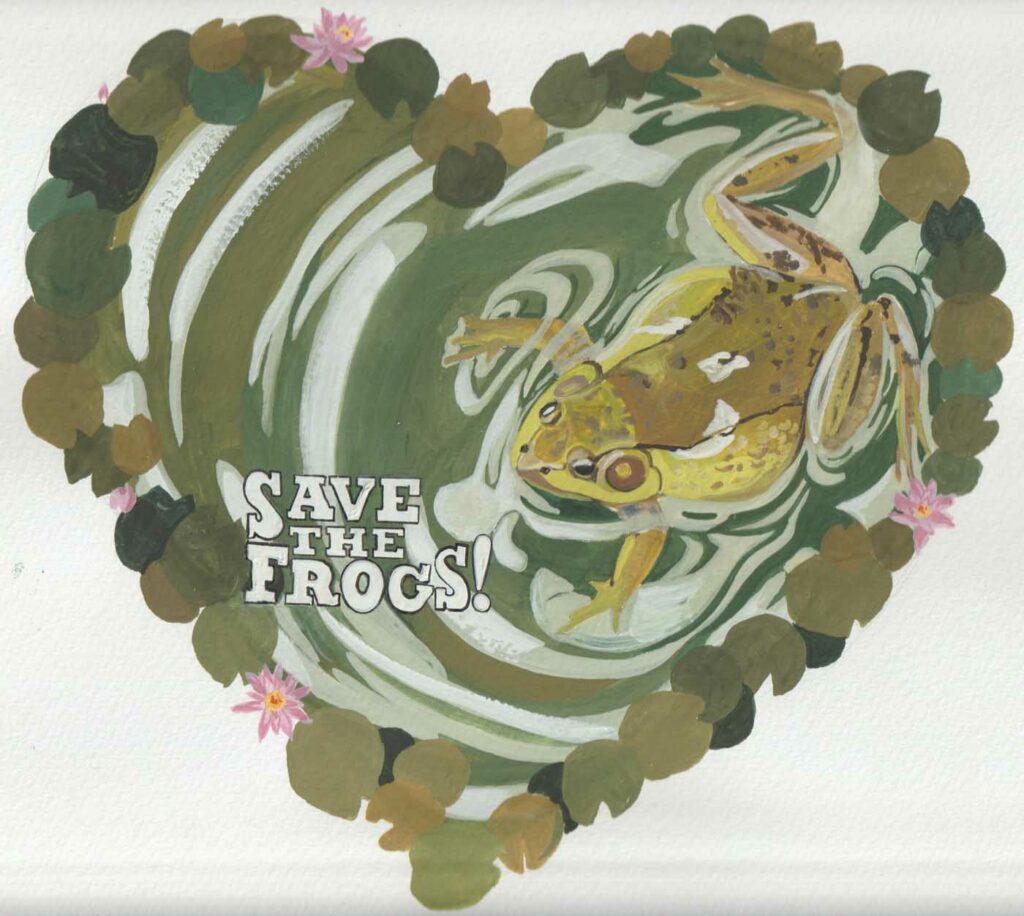 Sonya Belokrylova Russia 2023 save the frogs art contest 1