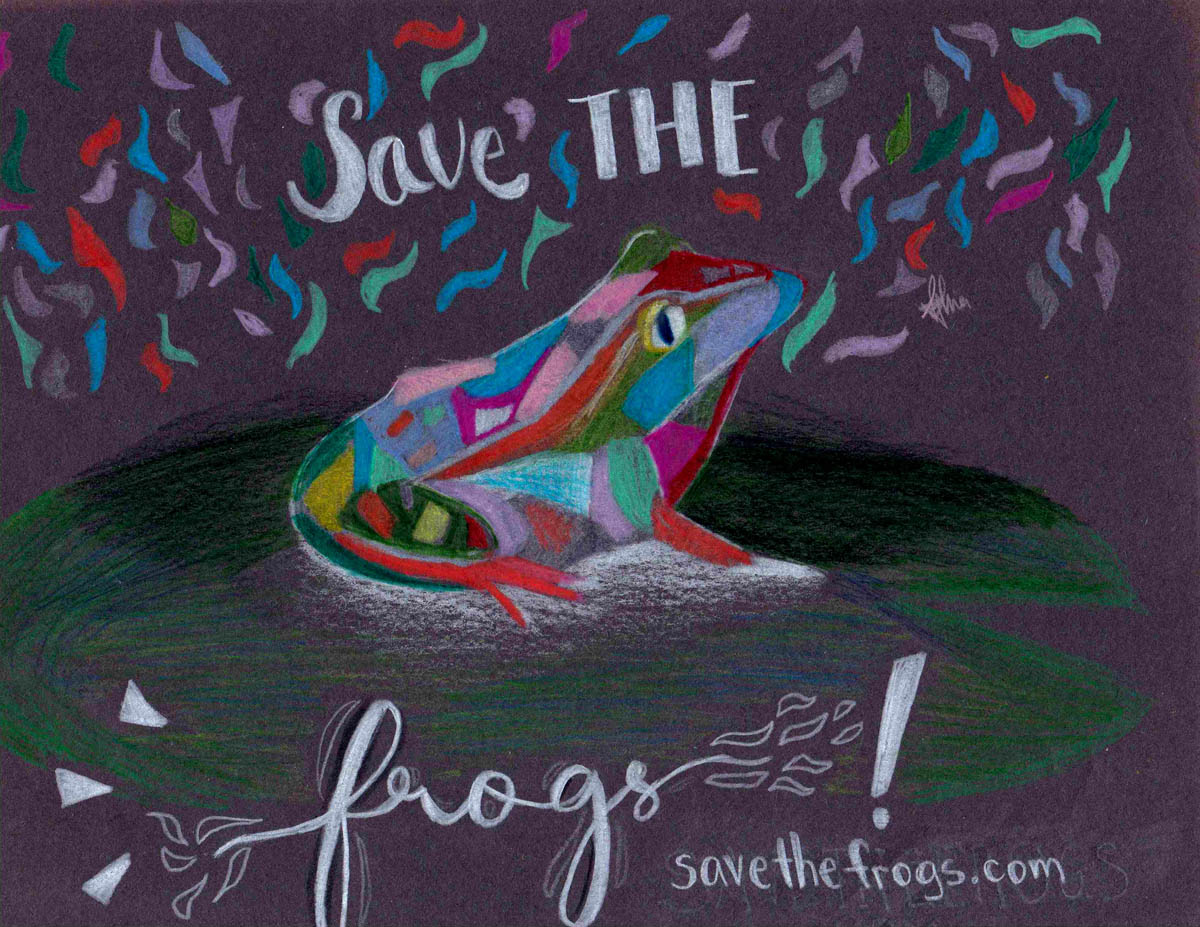 Sophia-Liu-USA-2020 save-the-frogs art contest