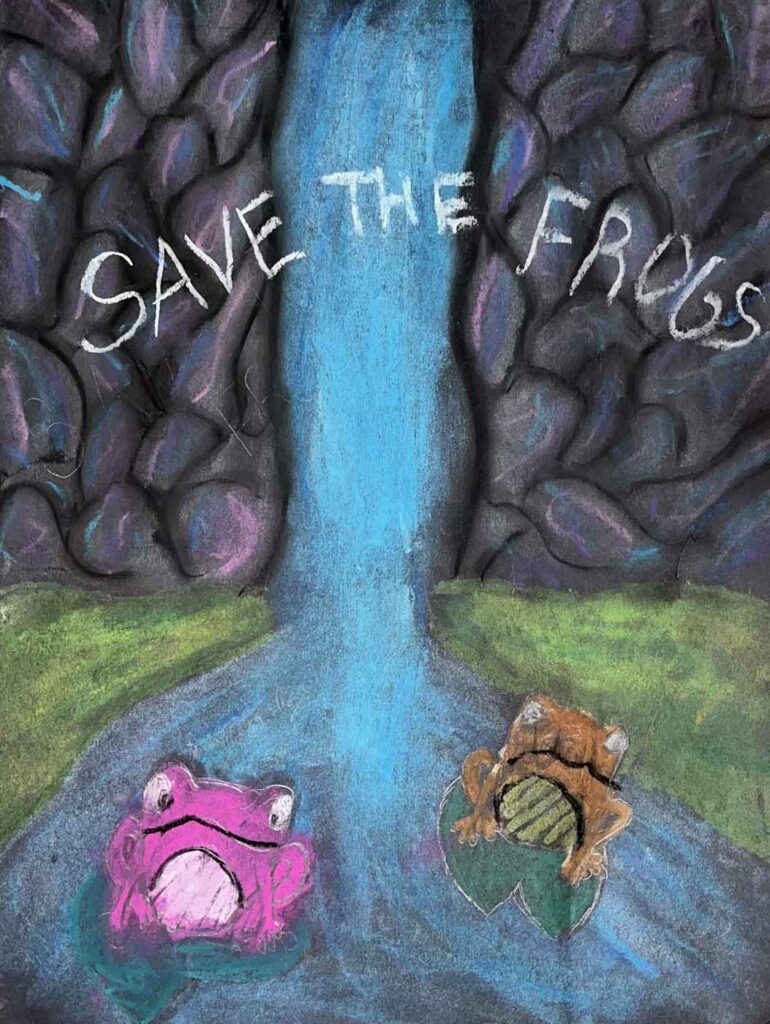 Sophia Sufuentes USA 2023 save the frogs art contest 1