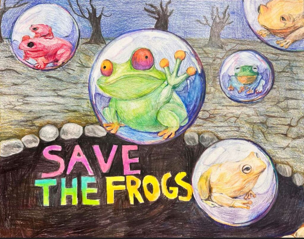Sophie Lee USA 2023 save the frogs art contest 1