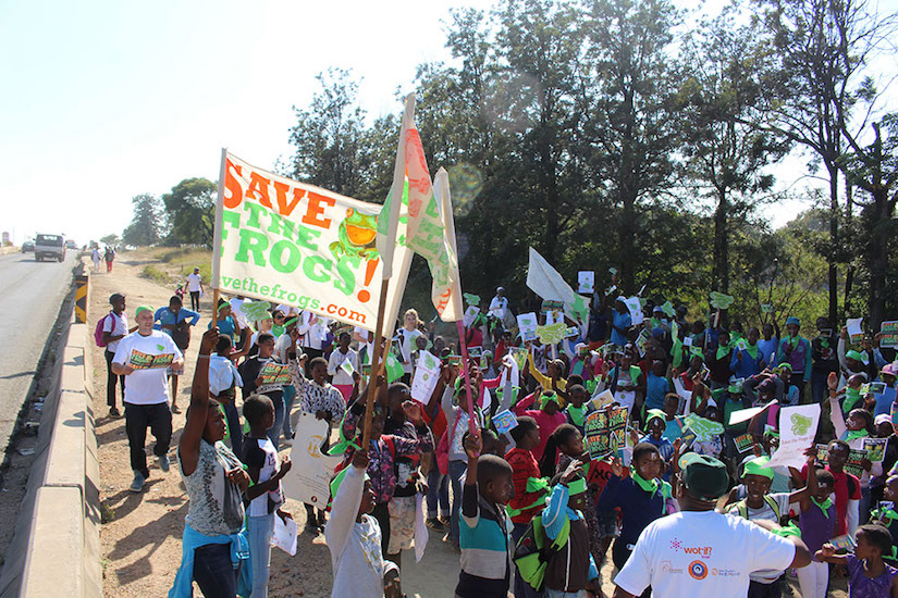 Save The Frogs Day 2017 in Diepsloot, South Africa