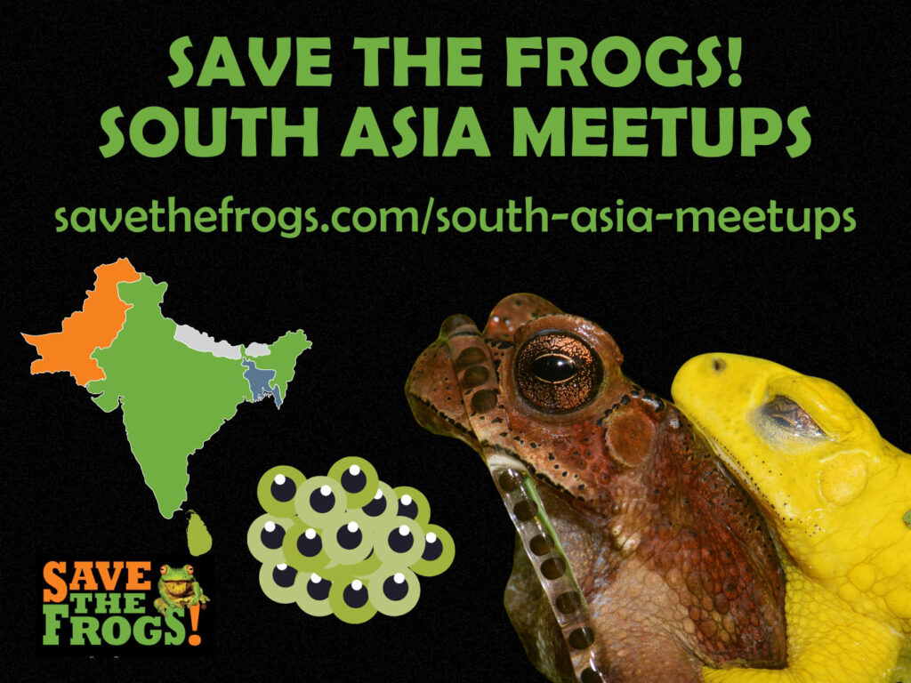 SAVE THE FROGS! South Asia Meetups Icon