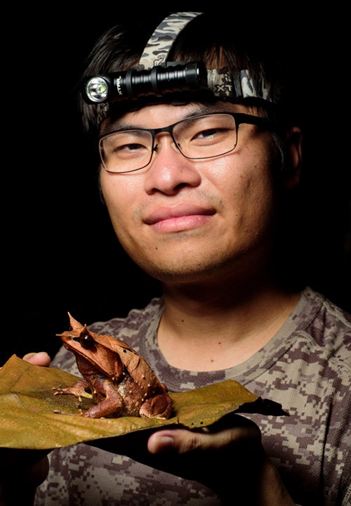 Steven-Wong-Explore-Herpetology