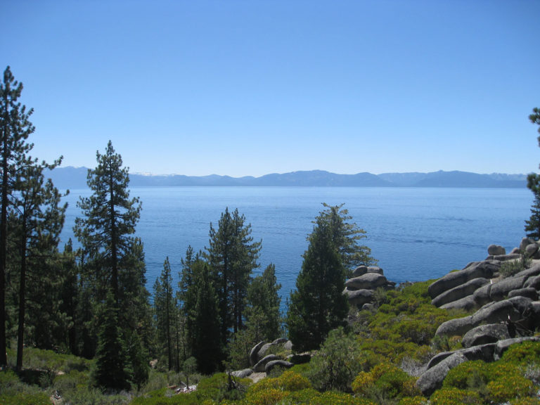 Help Build Wetlands In Tahoe National Forest