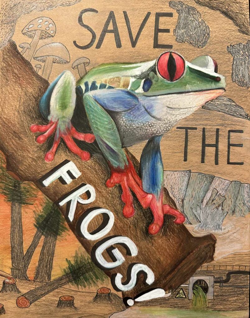 Ted Liu USA 2023 save the frogs art contest 1