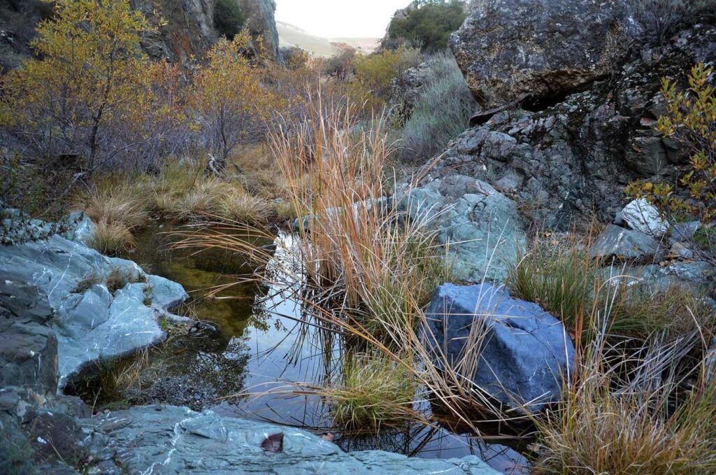टेस्ला पार्क कैलिफ़ोर्निया CSVRA TESAL PARK CORAL HOLLOW CREEK WILDS