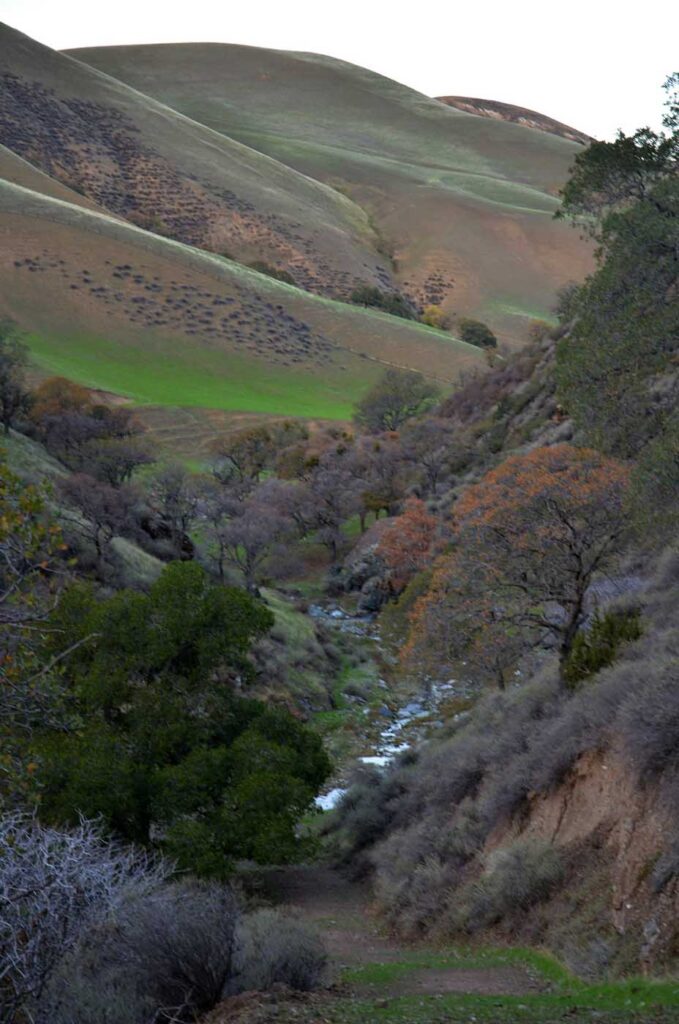 टेस्ला पार्क कैलिफ़ोर्निया CSVRA TESLA PARK CORAL HOLLOW CREEK CANYON