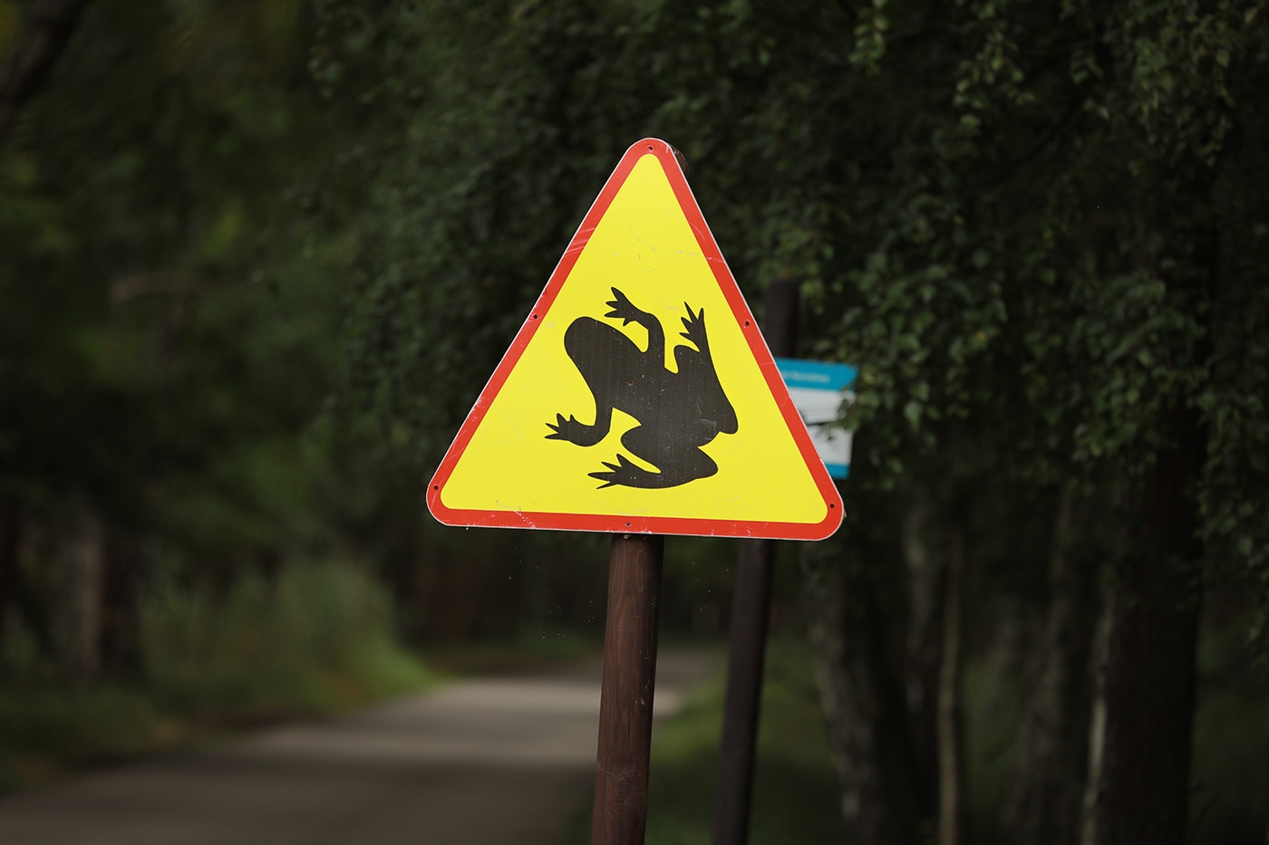 Frog Road Crossing Signage