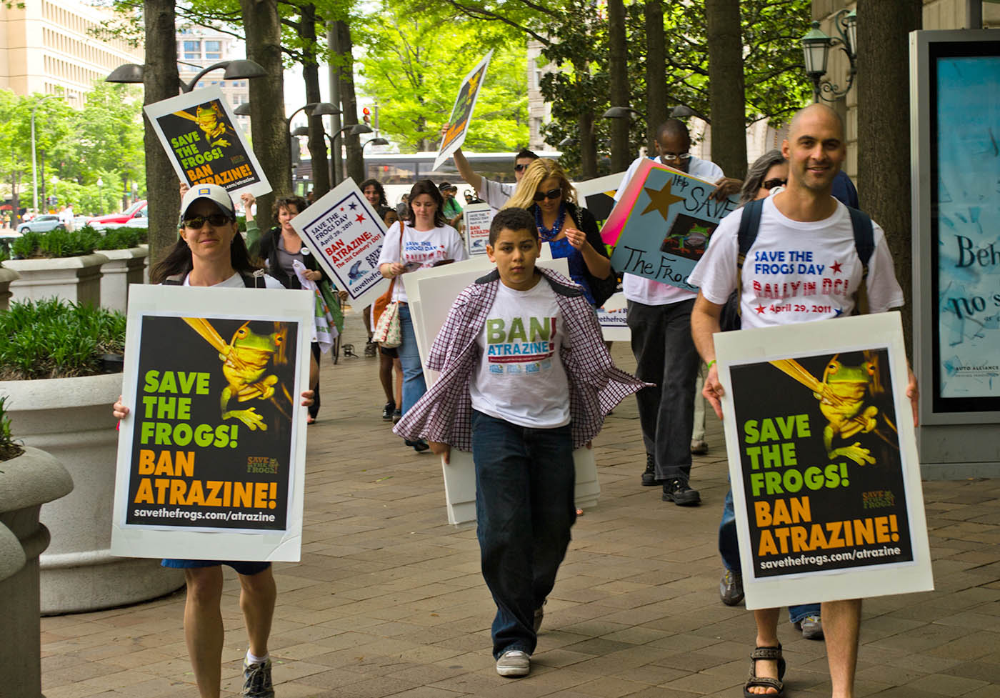 미국 워싱턴 D.C. Save The Frogs Day 2011년 4월 29일, 카메론 앨버트 사진