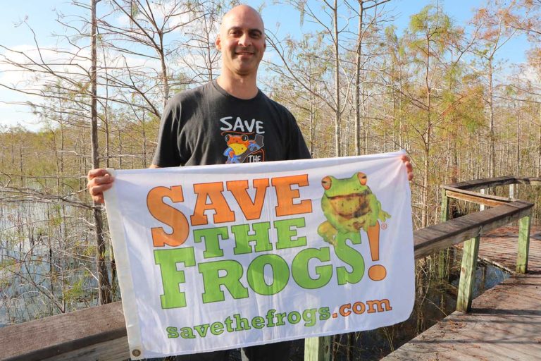 Save The Frogs in Florida