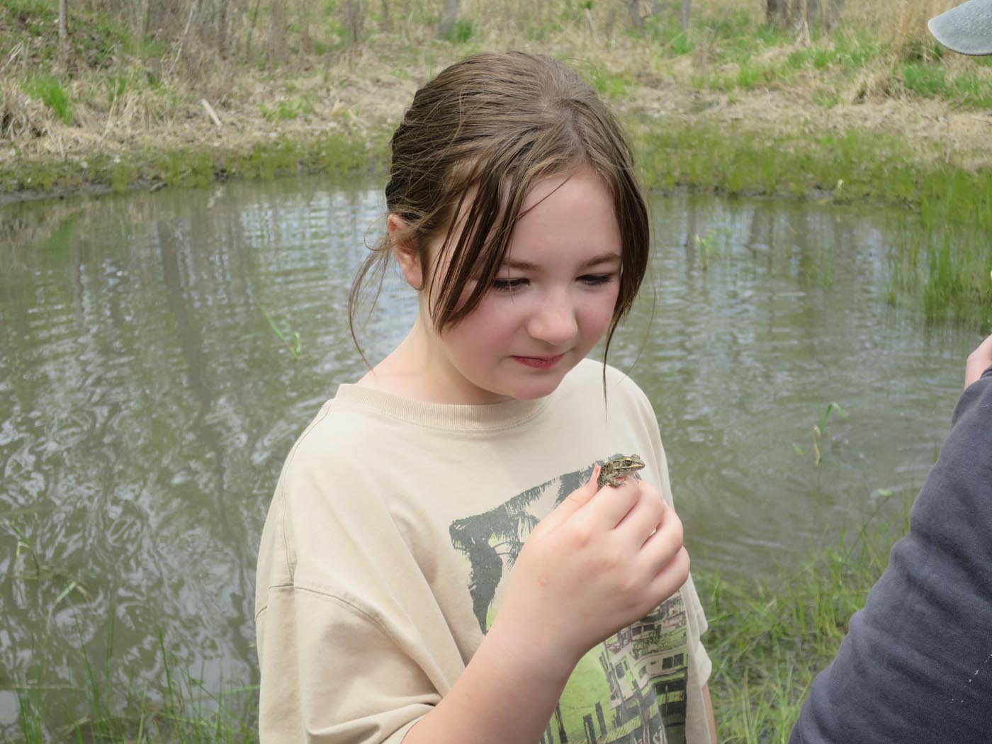USA Illinois Meredosia National Wildlife Refuge Save The Frogs Day Wetlands